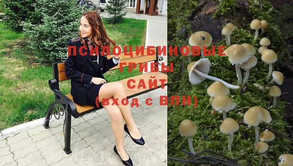 МДПВ Армянск